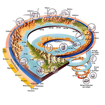 Timeline: As principais etapas da história da Terra