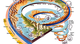 Timeline: As principais etapas da história da Terra