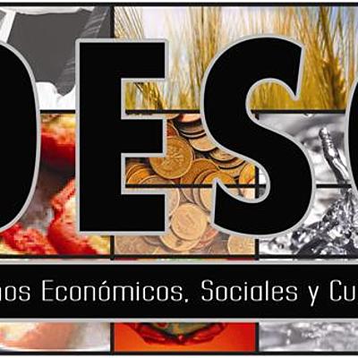 Timeline: Historia de las DESC