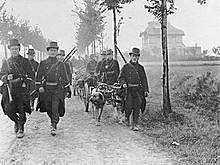 Duitse soldaten vielen België binnen