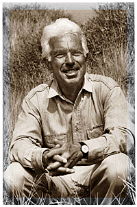 Teoría Desarrollo organizacional