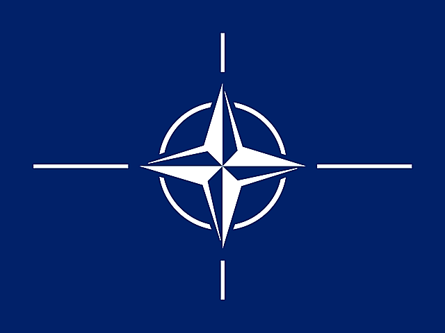 Organización del Tratado del Atlántico Norte (OTAN)