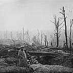 Battle of Verdun (Europe and the world)