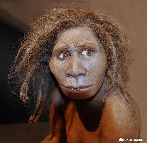 Homo Georgicus (1,6 - 1,8 m.a)