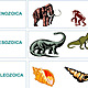 Eras geologicas