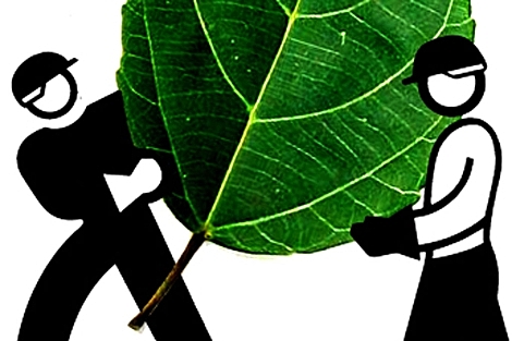 IDEAS ECOLOGISTAS: "Ecologismo"