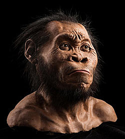 HOMO HEIDELBERGENSIS(600000 a 200000 anos)