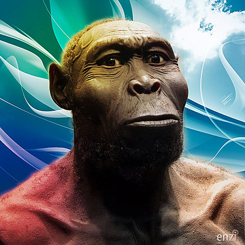 HOMO RUDOLFENSIS(2 a 1.7 millons de anos)