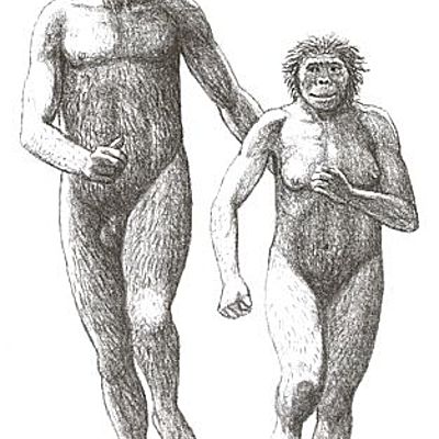 Timeline: A orixe do home e o proceso de hominización