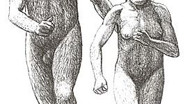 Timeline: A orixe do home e o proceso de hominización