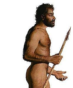 Homo Sapiens (150.000  anos - actualidade)