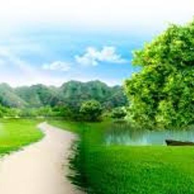 Timeline: Historia Medioambiental