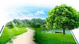 Timeline: Historia Medioambiental