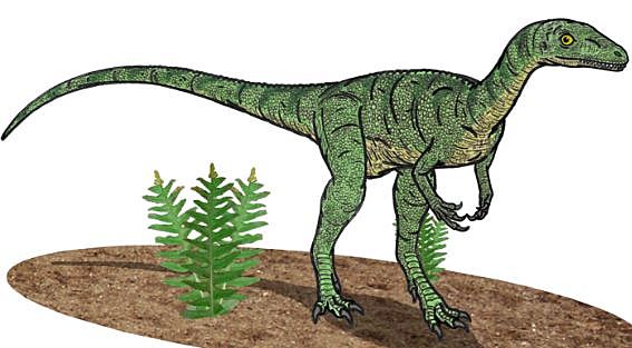 Primeros dinosoaurios