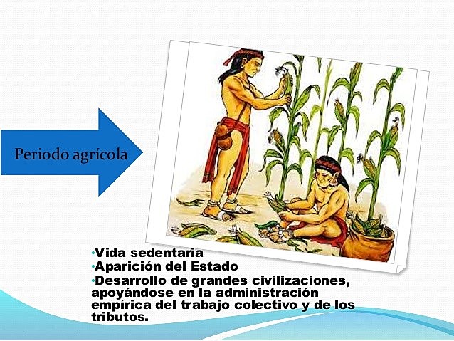 PERIODO AGRICOLA