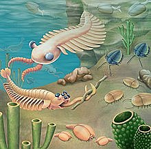 ERA PALEOZOICA:  -Dayana Gomez 8-B-