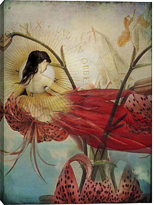 Los Textos Discontinuos