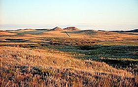 Epoca del mioceno (era cenozoica, periodo terciario) / Isabella Saldarriaga 8c