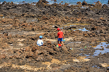 Gerson Abdiel Garcia Pinto