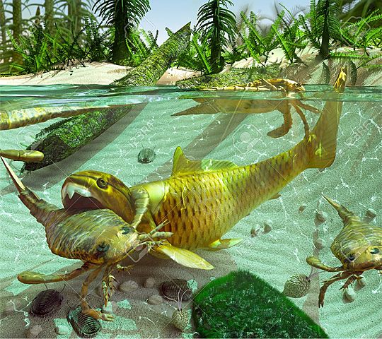 Periodo Devónico (395 m.a)