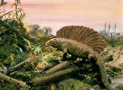 Periodo Pérmico (280 m.a)