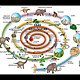 Eras geologicas
