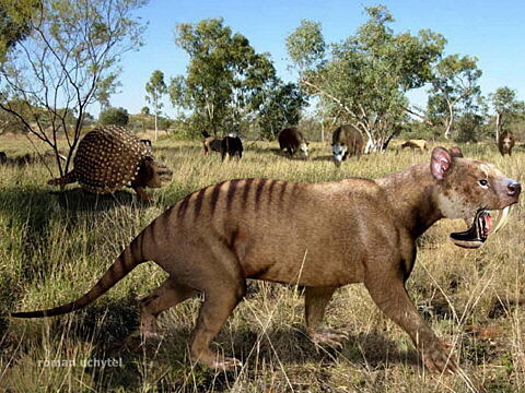 Periodo Cuaternario Santigo Bedolla 8A