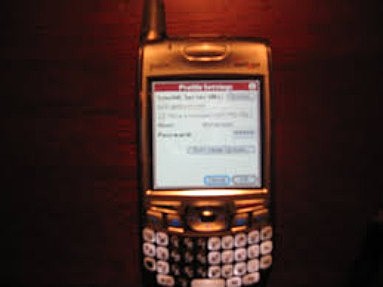 Quinto celular medio