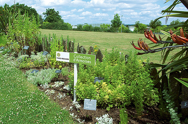 Ботанічний Сад