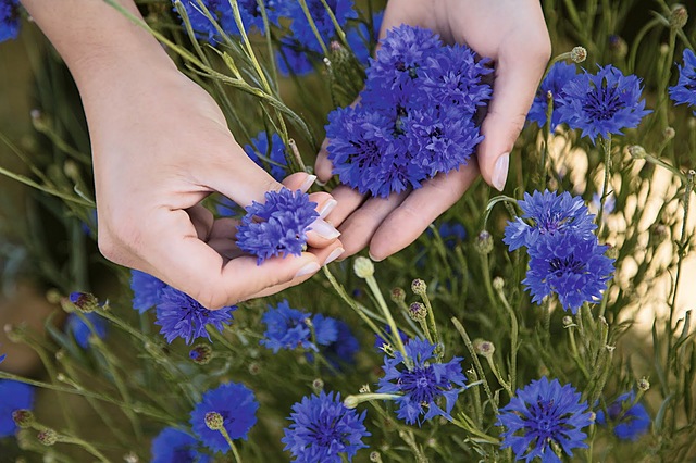 Фонд Yves Rocher