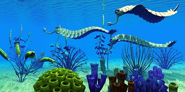 Era Paleozoica- Juan Esteban Calvache 8b