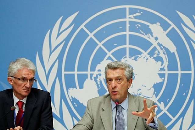 Resolución 3384 de la ONU.