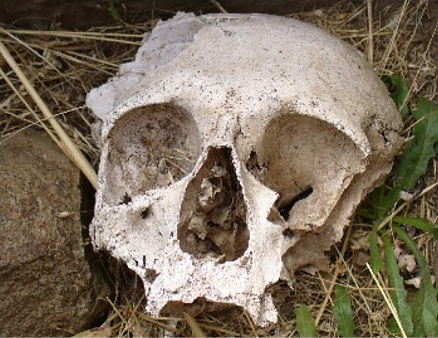 periodo cuaternario/Chelsea Grajales 8b