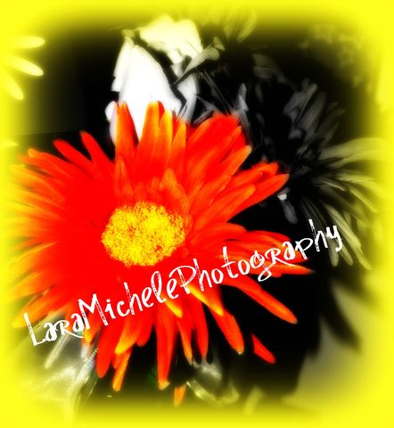 I startedtaking interest in photography.