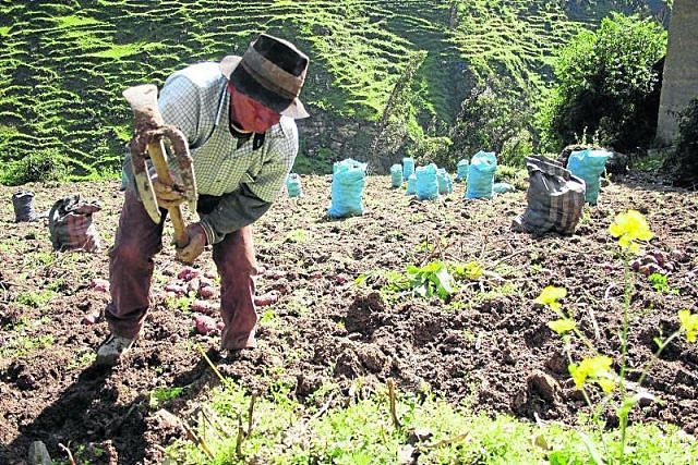 Intento por ayudar a los campesinos