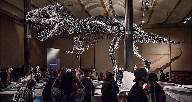 Periodo Cretácico 8B Ana Carolina Belalcázar Rojas