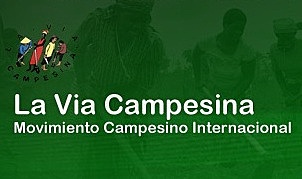 Creación de la vía campesinas