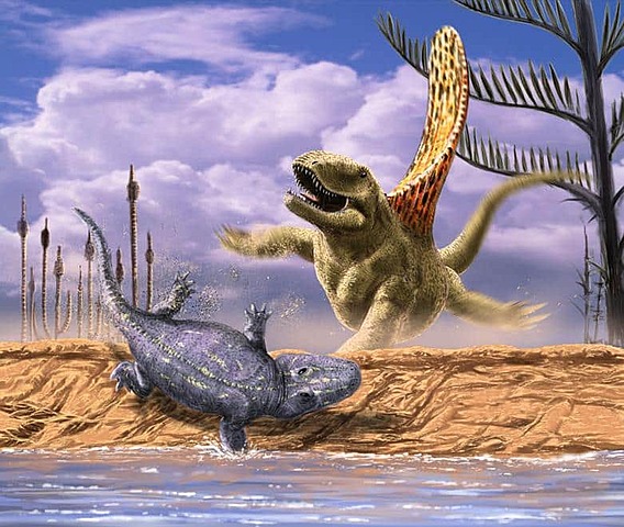 Periodo Paleozoica / Pérmico