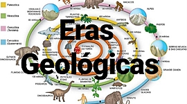 Timeline: Daniel Cruz 8BLinea de Tiempo