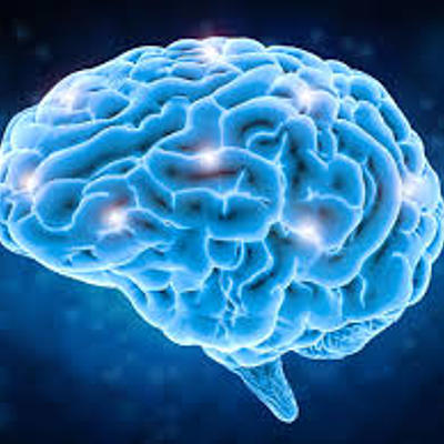 Timeline: Psicología contemporánea Ibero