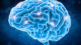 Timeline: Psicología contemporánea Ibero