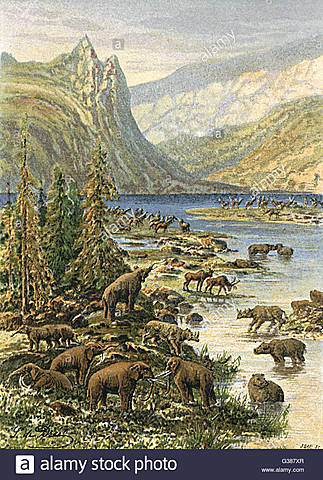 Sara Suarez 8b.Periodo Cuaternario