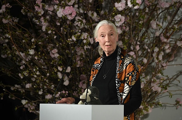 Valerie Jane Morris-Goodall