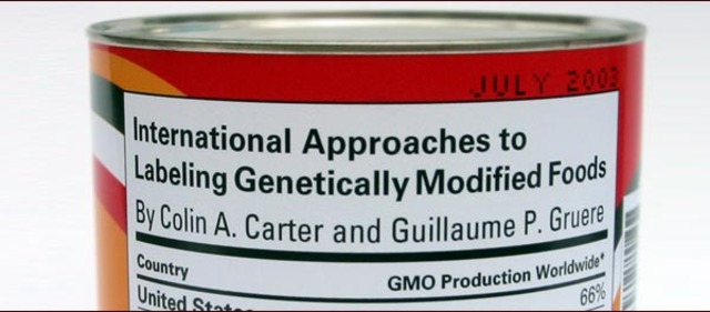 GM tomato paste arrives in Britian, prompting backlash from Green Peace and Friends of Earth.