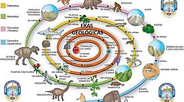 Timeline: Eras Geologicas