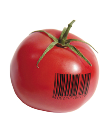 First GM food, Flavr Savr tomato is approved in the US.
