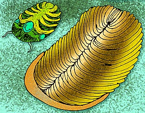 Periodo Precámbrico.