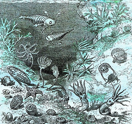 Período silúrico (430 a 395 millones de años)