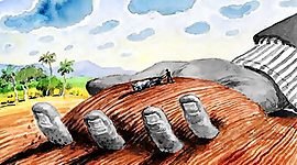 Timeline: DERECHO AGRARIO