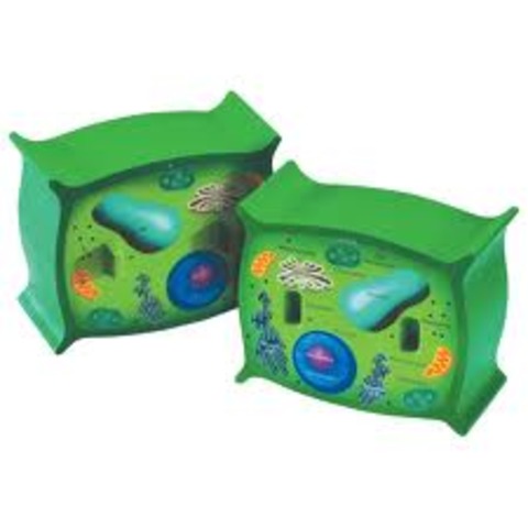 Monsanto Scientists First to Modify Plant Cell